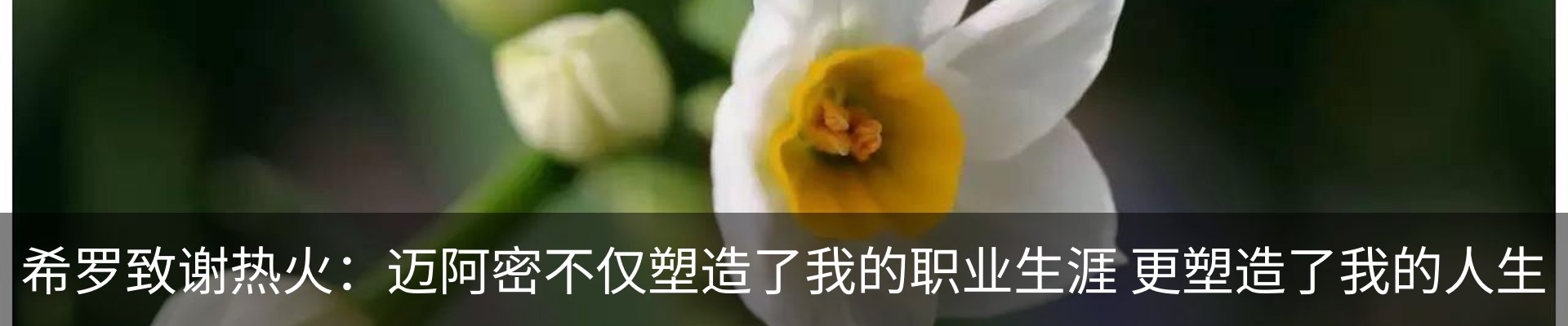 新闻中心