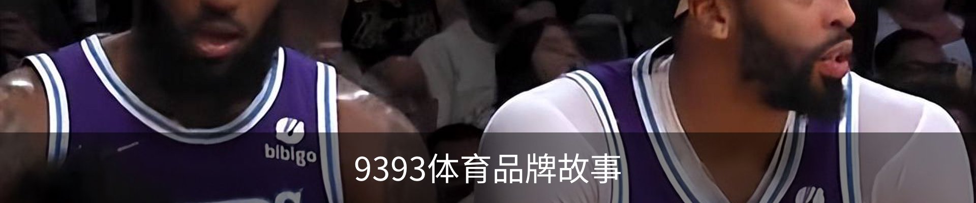 9393体育品牌故事